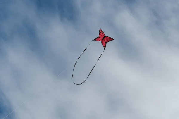 Kites Coloridos Voando Sobre Céu — Fotografia de Stock