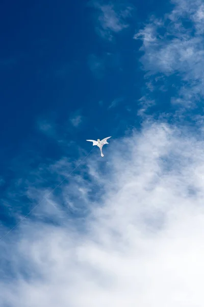 Cerfs Volants Colorés Volant Dessus Ciel — Photo