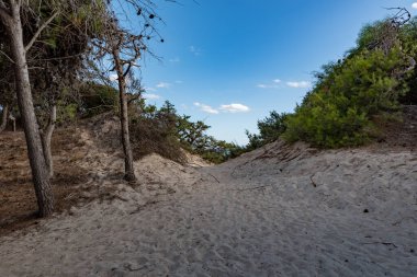 Punta Prosciutto Puglia plajı