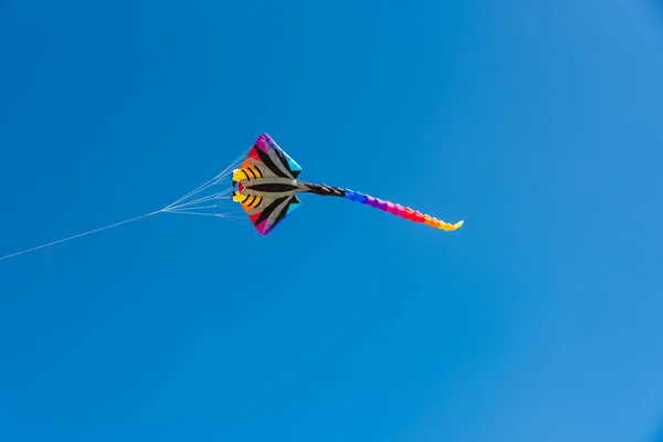 Kites Coloridos Voando Sobre Céu — Fotografia de Stock