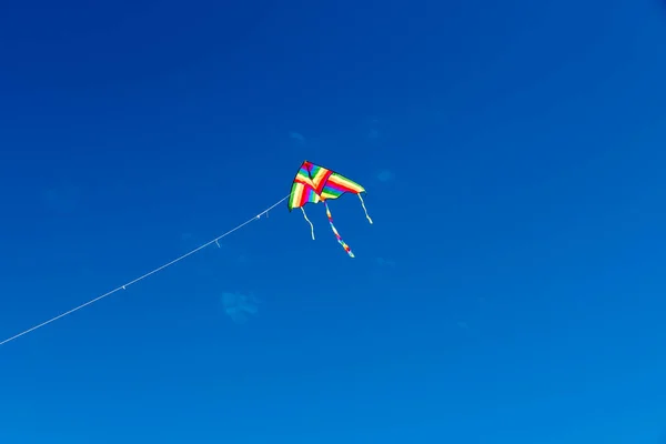 Aquiloni Colorati Che Sorvolano Cielo — Foto Stock