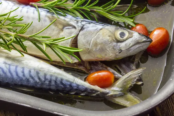 Mackerel baked with tomatoes — Stock Photo, Image