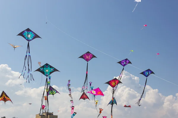 Festival degli aquiloni — Foto Stock