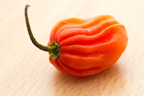 Habanero peper — Stockfoto