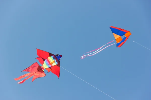 Kite festival — Stockfoto