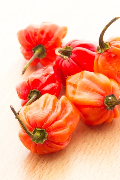 Habanero-Pfeffer — Stockfoto