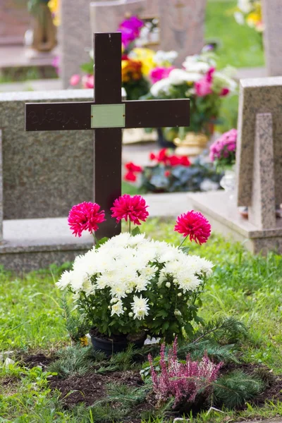 Cemetery — Stock Photo, Image