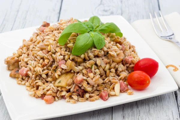 Espelta con setas y tocino — Foto de Stock