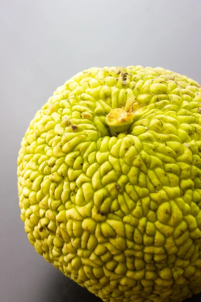 Mono cerebro fruta —  Fotos de Stock