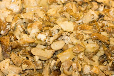 Pişmiş Porcini mantar