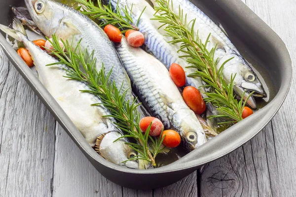 Mackerel baked with tomatoes — Stock Photo, Image