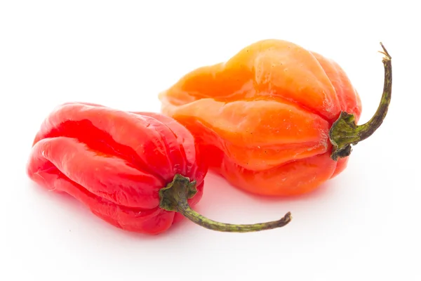 Habanero pepře — Stock fotografie