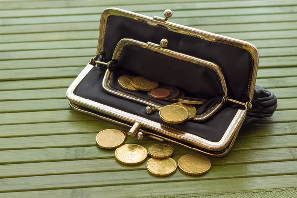 Women wallet — Stock Photo, Image