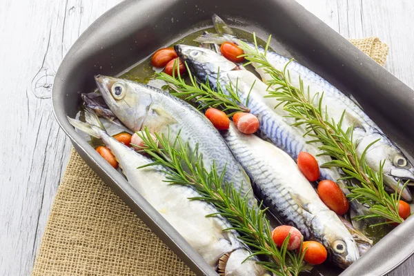 Mackerel baked with tomatoes — Stock Photo, Image