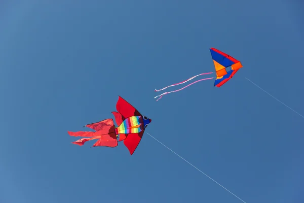 Kite Fesztivál — Stock Fotó