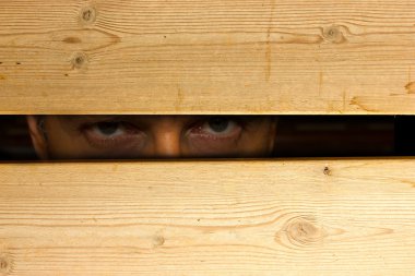 gizli bir görünüm