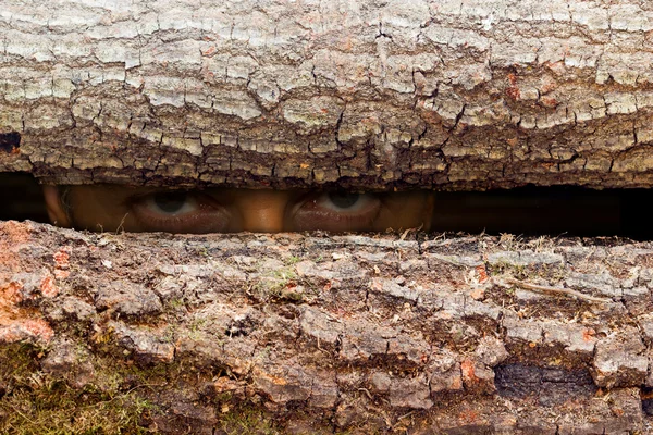 Hemmelig blikk – stockfoto