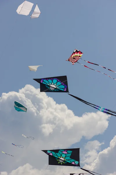 Kite Φεστιβάλ — Φωτογραφία Αρχείου