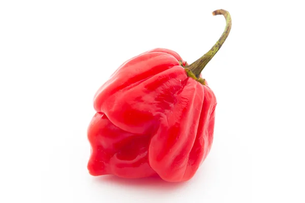 Papryka Habanero — Zdjęcie stockowe