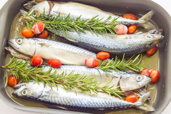 Mackerel baked with tomatoes — Stock Photo, Image