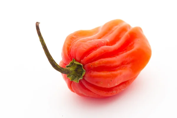 Πιπέρι habanero — Φωτογραφία Αρχείου