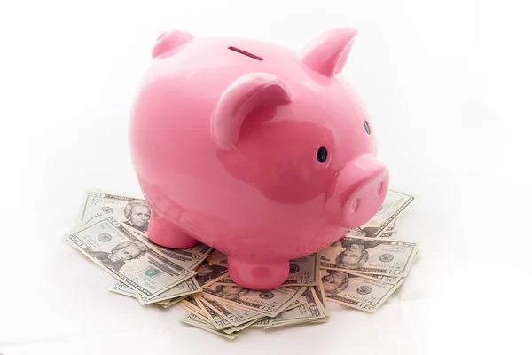 Varken piggy bank met dollars — Stockfoto