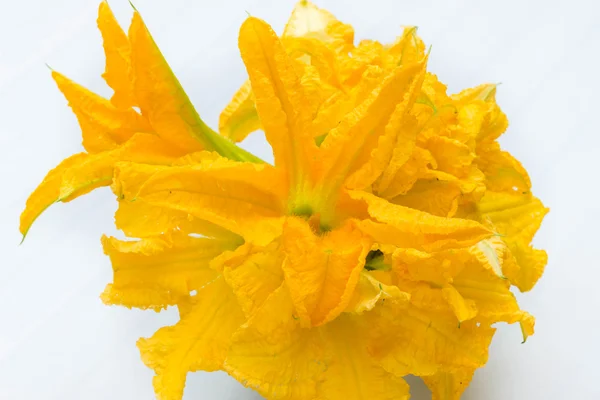 Zucchini flowers — Stock Photo, Image