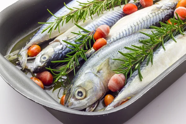 Mackerel baked with tomatoes — Stock Photo, Image