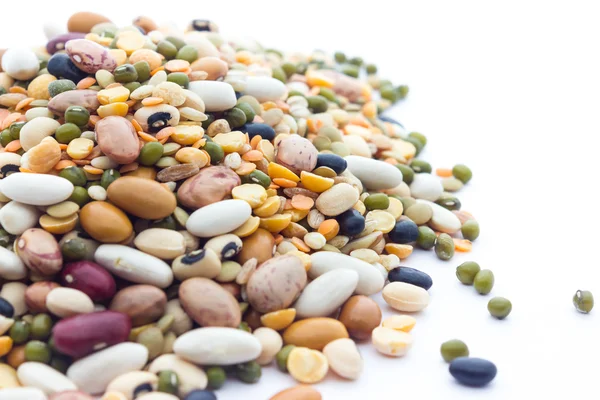 콩과 식물 — 스톡 사진