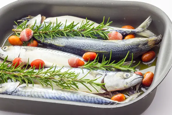 Mackerel baked with tomatoes — Stock Photo, Image