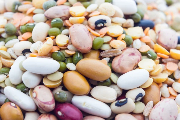 Legumes — Stock Photo, Image