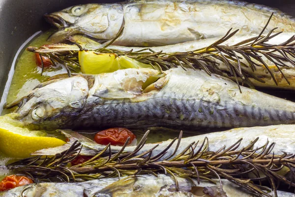 Mackerel baked with tomatoes — Stock Photo, Image