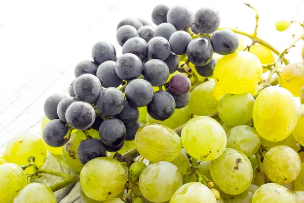 Bunch of grapes — Stock Photo, Image