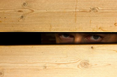 gizli bir görünüm