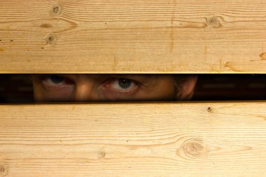 gizli bir görünüm