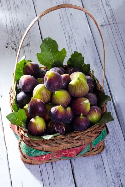 Figs — Stock Photo, Image