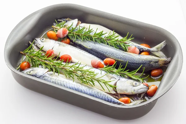 Mackerel baked with tomatoes — Stock Photo, Image