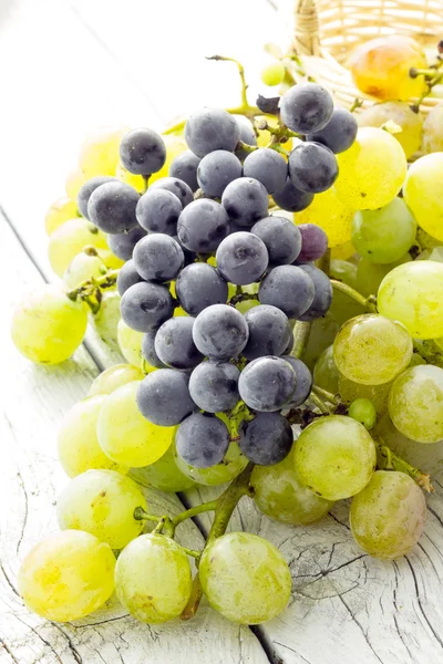 Bunch of grapes — Stock Photo, Image