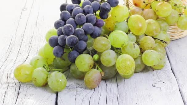 Гроздь винограда — стоковое видео