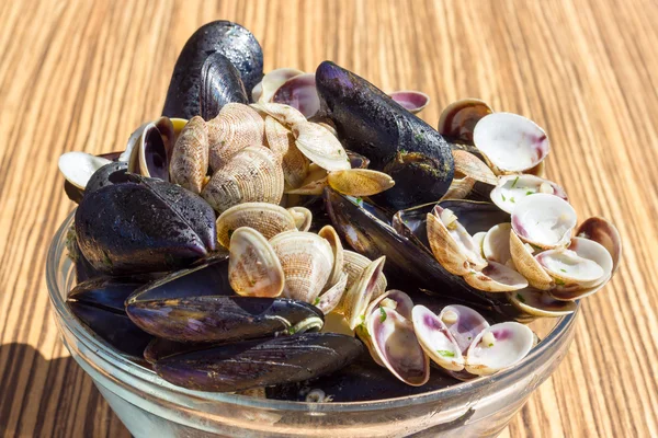 Mejillones y almejas vacías — Foto de Stock