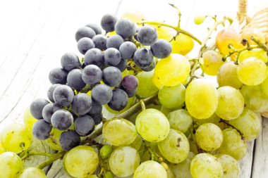 Bir demet üzüm.