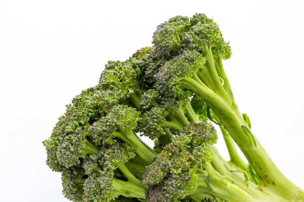 Broccoli — Stock Photo, Image