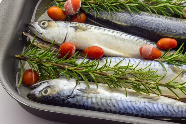 Mackerel baked with tomatoes — Stock Photo, Image