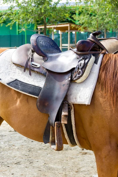 Saddle on a brown  horse — Stock Photo, Image