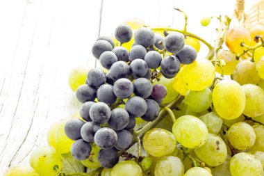 Bir demet üzüm.