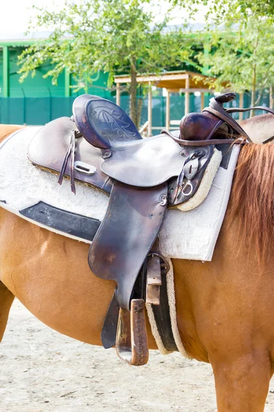 Gamla sadel på en häst — Stockfoto
