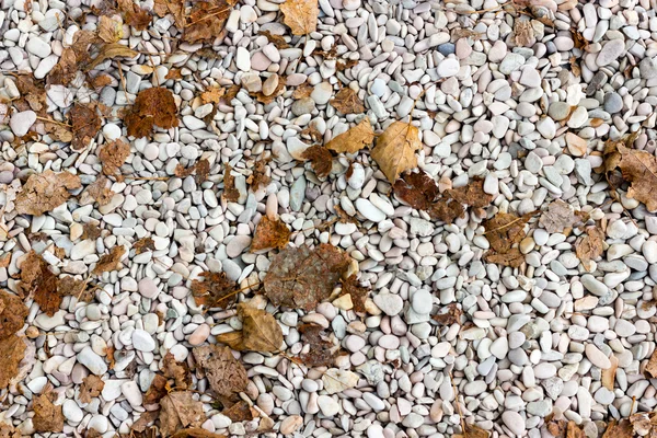 砂利のテクスチャ — ストック写真