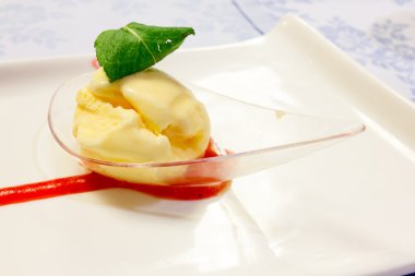 Nane dondurma ahududu