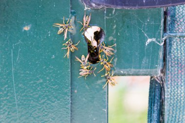 Eski bir kapı kilidi içinde gezinme alanı