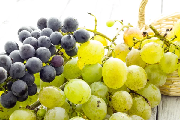 Bunch of grapes — Stock Photo, Image